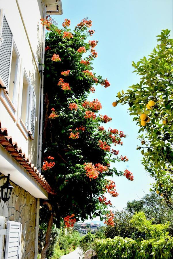Villa Dionysios Keri Екстериор снимка